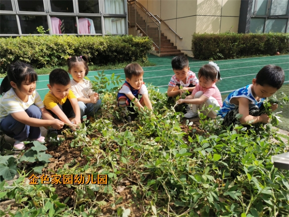 附件：IMG_20210924_092621.jpg