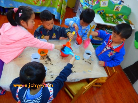 附件：conew_dscn2817.jpg