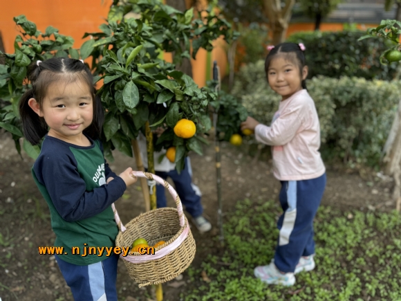 附件：IMG_0733(20231028-101130).JPG