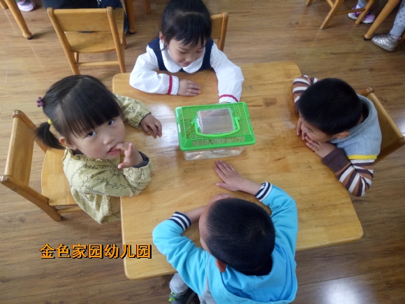 附件：IMG20170425100947.jpg