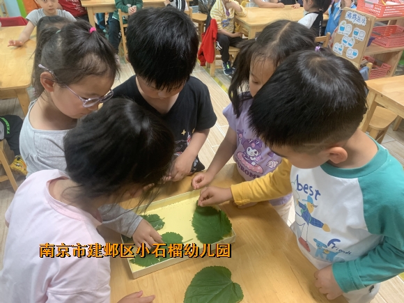 附件：1142FC9B8BBC2358E655ED1D9B4C6307.png