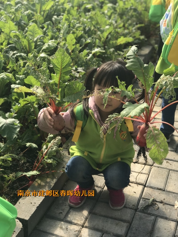 附件：conew_img_6589.jpg
