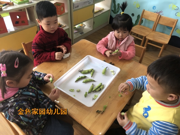 附件：IMG_9435.JPG