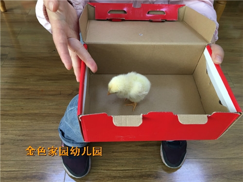 附件：IMG_3415.jpg