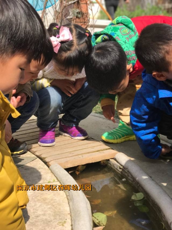 附件：IMG_3007.JPG