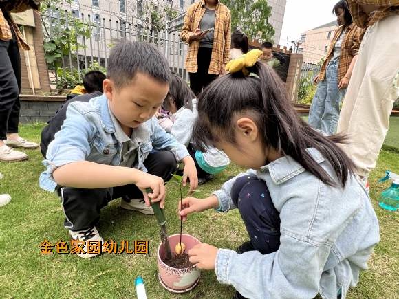 附件：IMG_8111(20220513-162750).JPG
