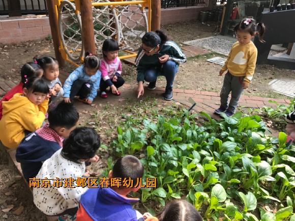 附件：博客照片IMG_4485.JPG