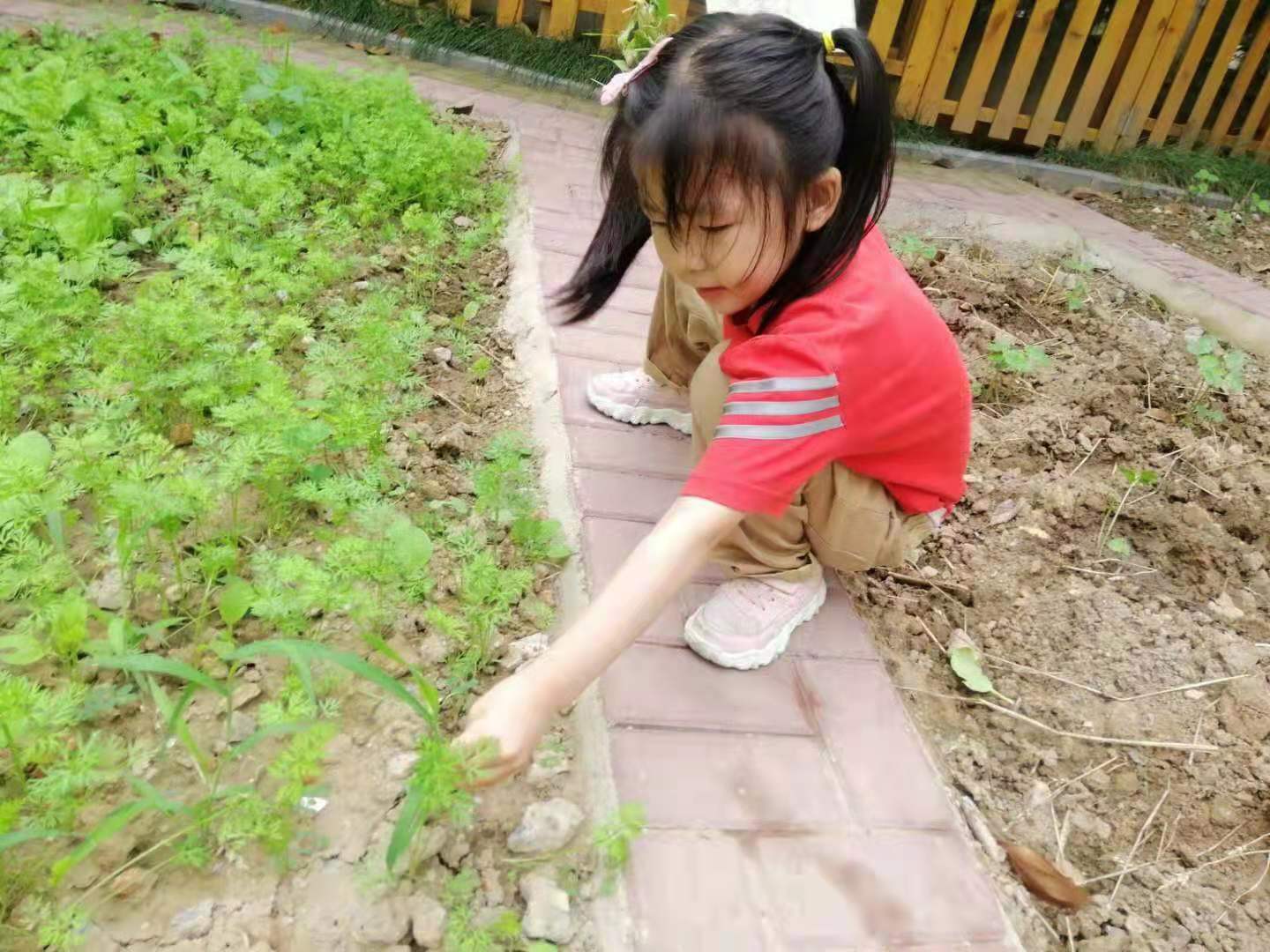 20210617130747016.jpg