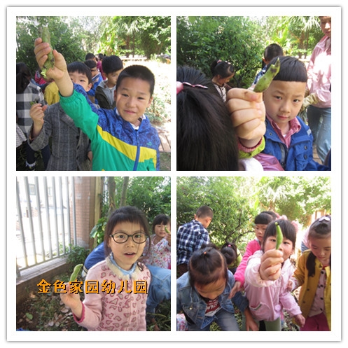 附件：initpintu_鍓湰4.jpg