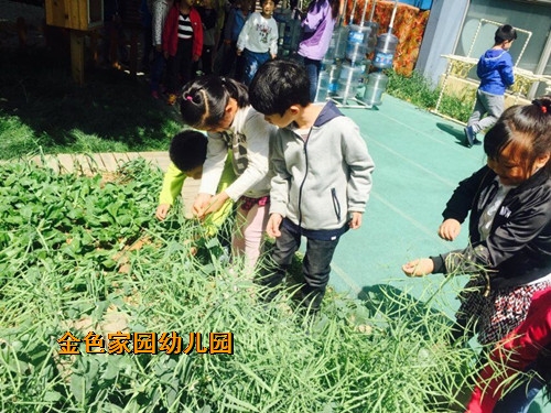附件：2.jpg