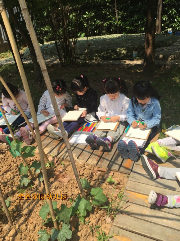 附件：IMG_6752.JPG