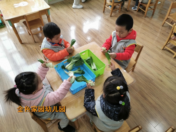 附件：IMG_20191118_092912.jpg
