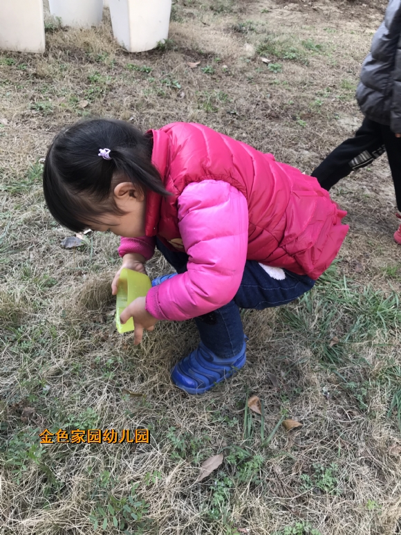 附件：IMG_5392.JPG