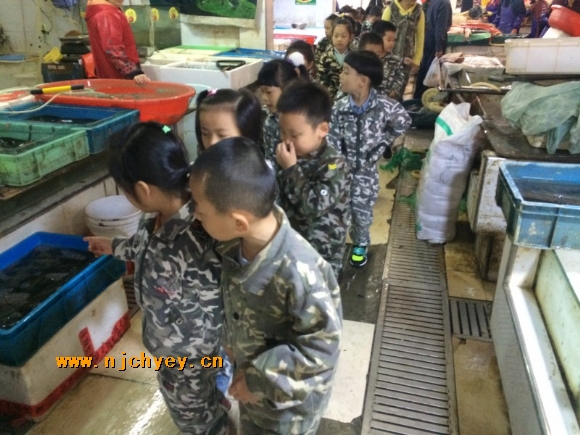 附件：conew_img_7510.jpg