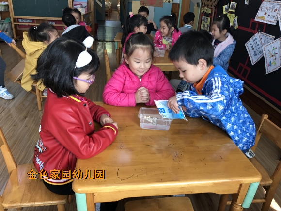 附件：IMG_7867.JPG