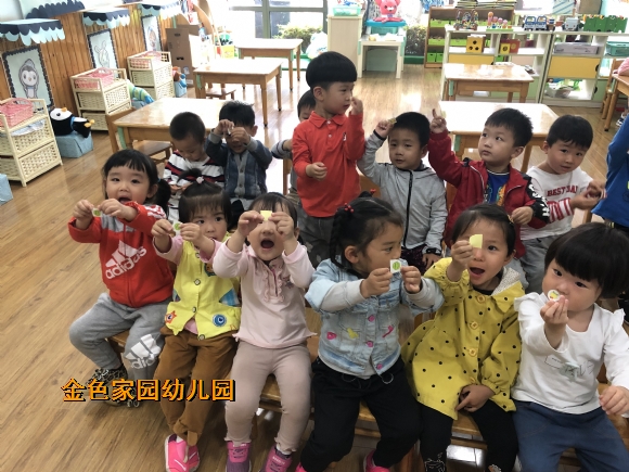 附件：分类IMG_0370.JPG