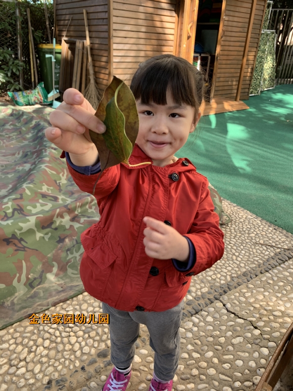 附件：1fa655cdeb44ceee7eb11d21dff6f383.jpg