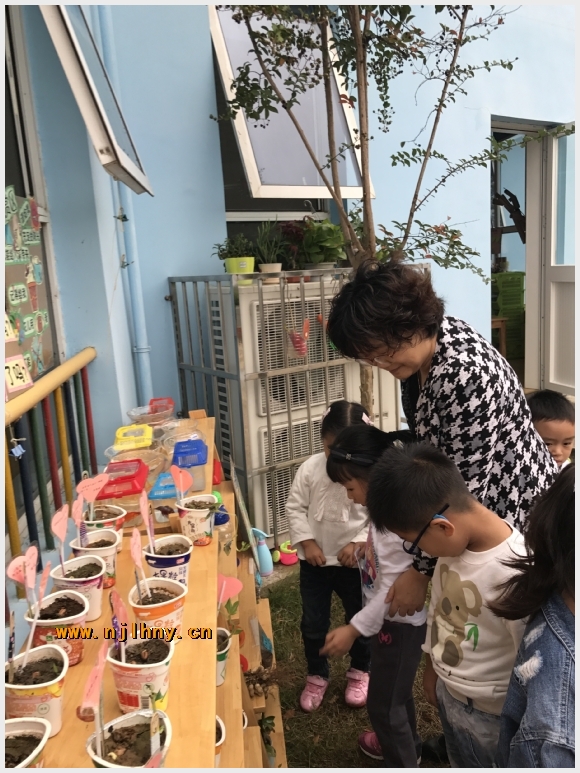 建邺教育信息网