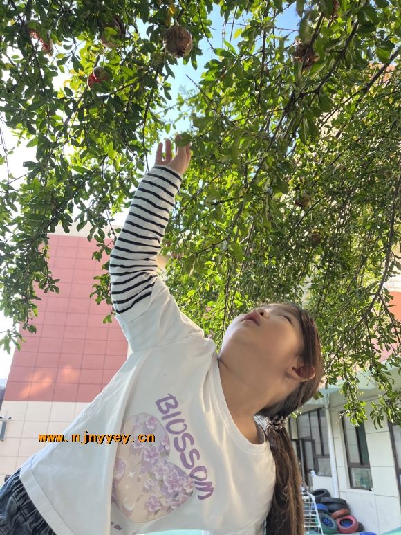 附件：fe9915647fdd097131484855bc99f8ac.jpg