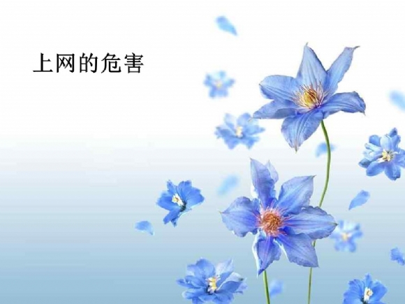 附件：骞荤伅鐗?.JPG