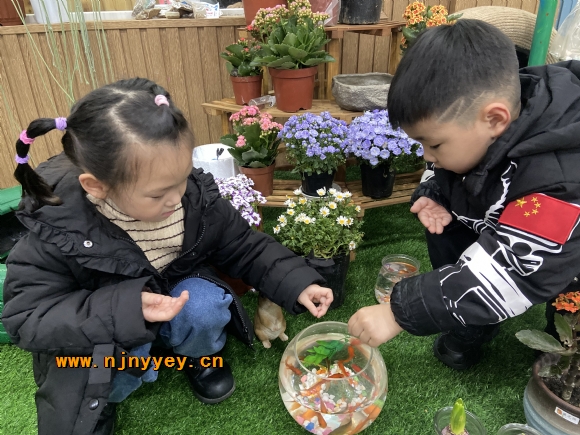 附件：IMG_3853.JPG