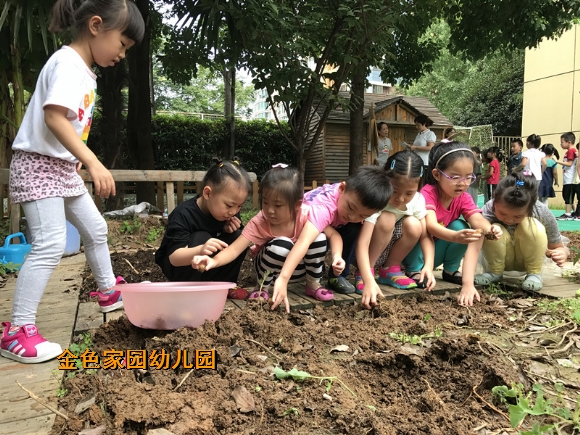 附件：IMG_5999.JPG
