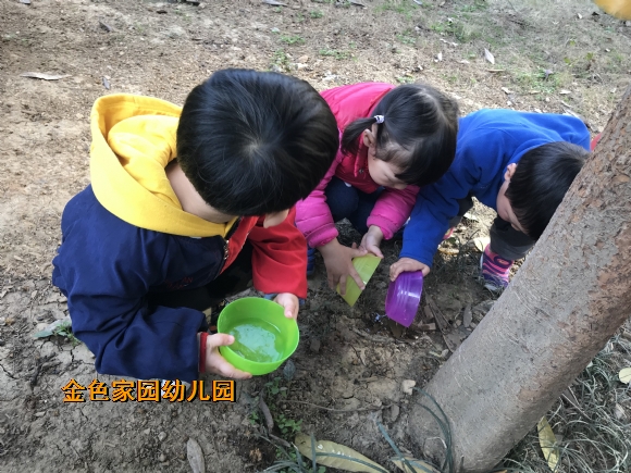 附件：IMG_5386.JPG