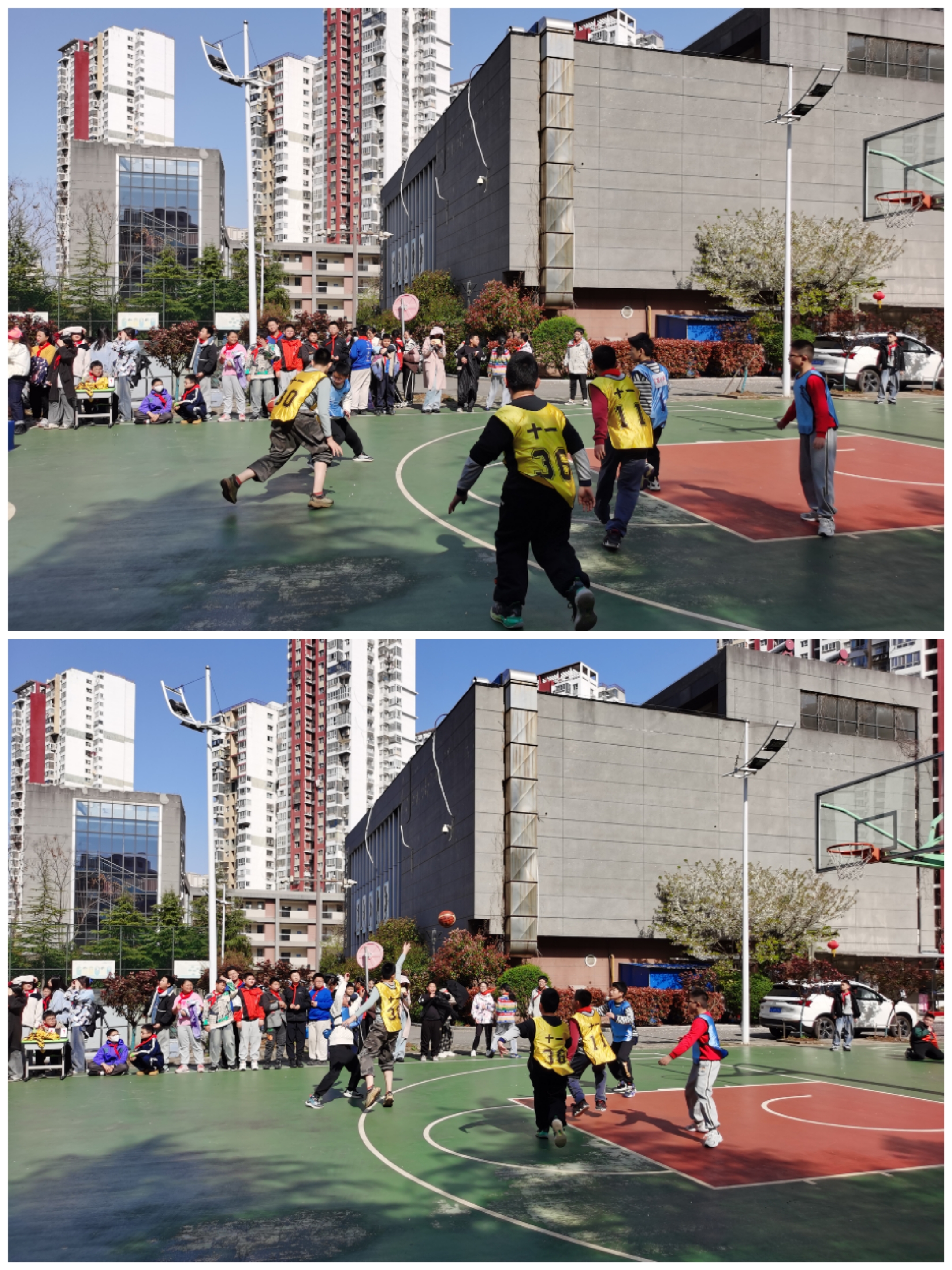 Collage_20240411_081643.jpg