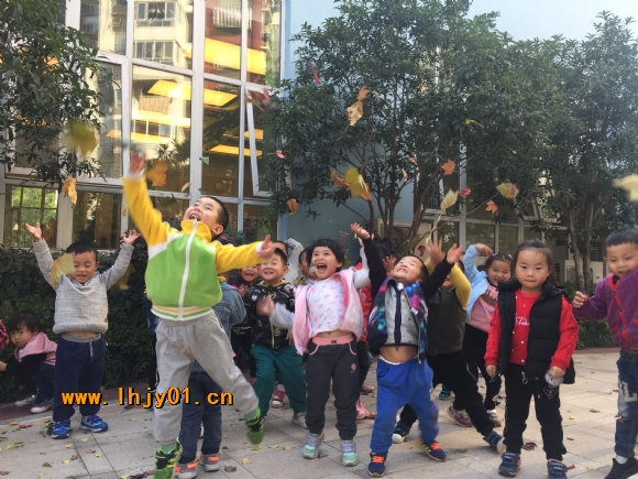 附件：IMG_4584.JPG
