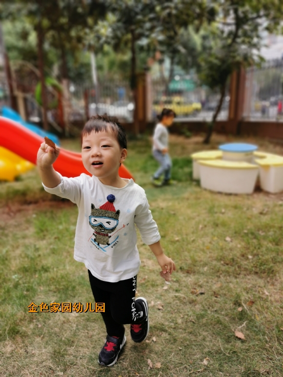 附件：IMG_20191010_102003.jpg
