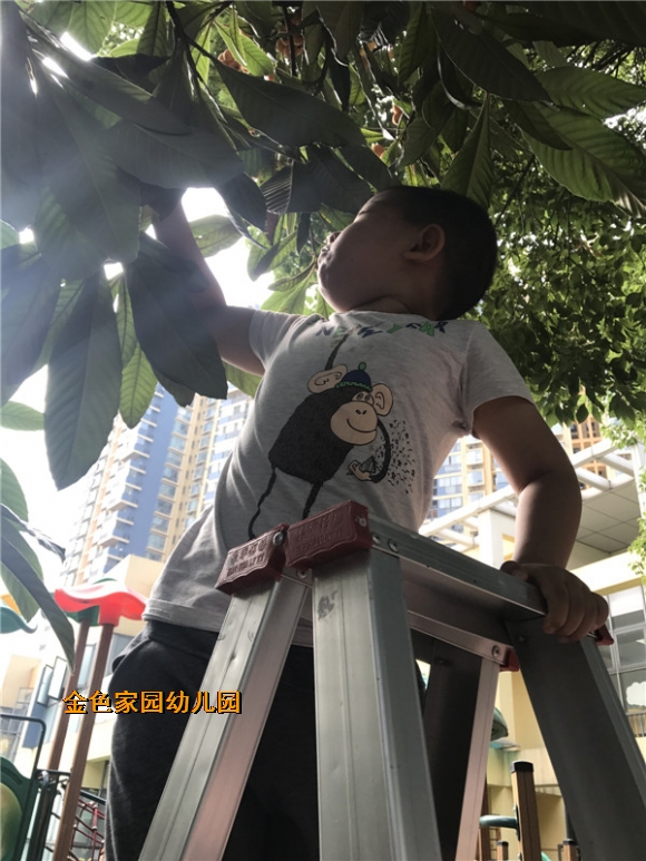 附件：IMG_2330.JPG