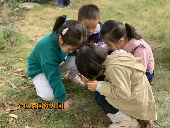 附件：1666854700159.jpg