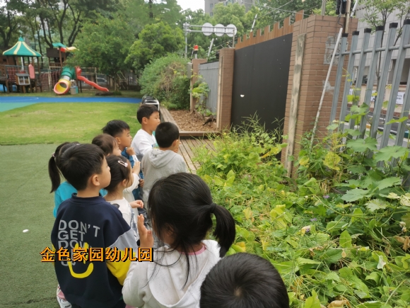 附件：IMG_20220426_095618.jpg