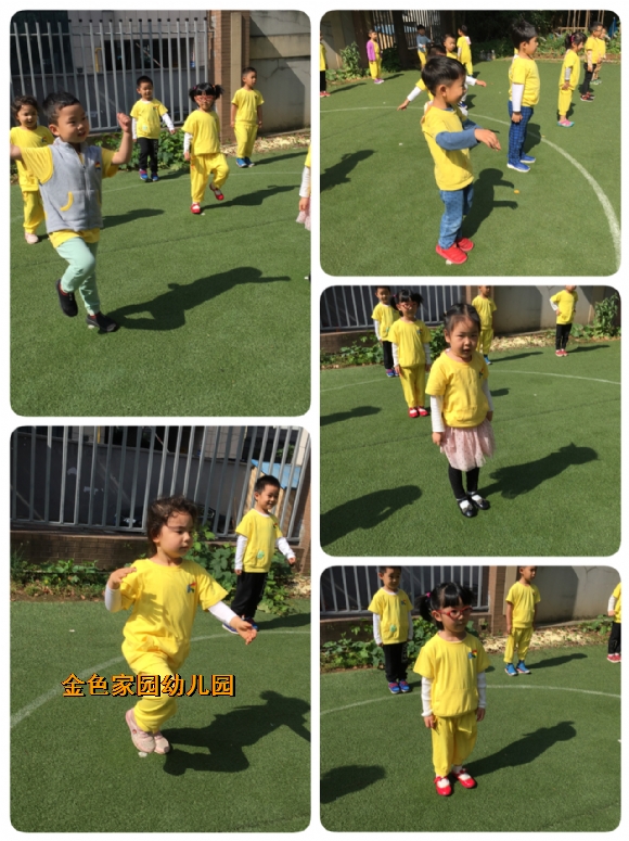 附件：IMG_1702.JPG