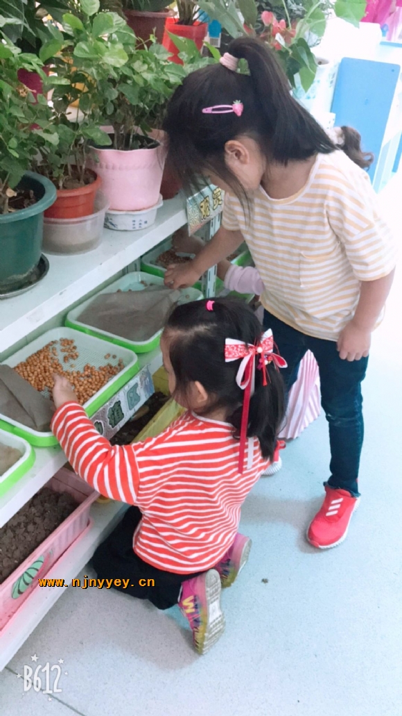 附件：QQ图片20181030130443.jpg