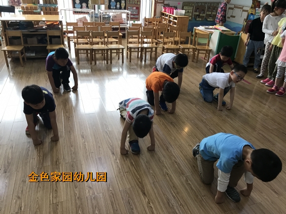 附件：IMG_4056.JPG
