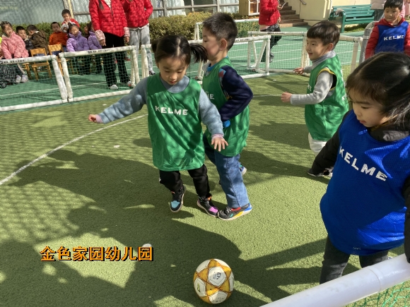 附件：IMG_6013.JPG
