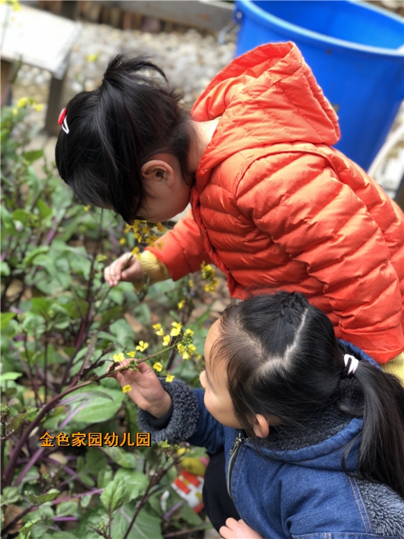 附件：IMG_1293.JPG