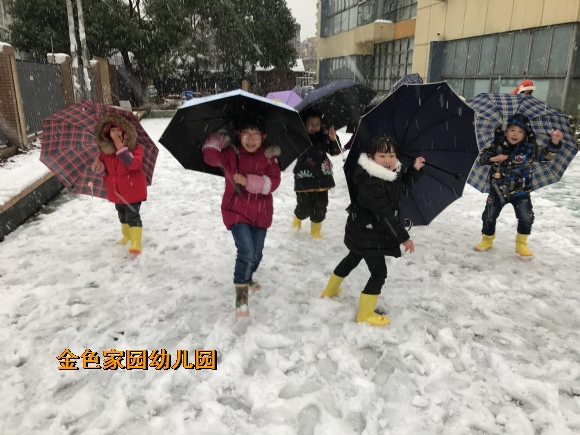 附件：IMG_9981.JPG