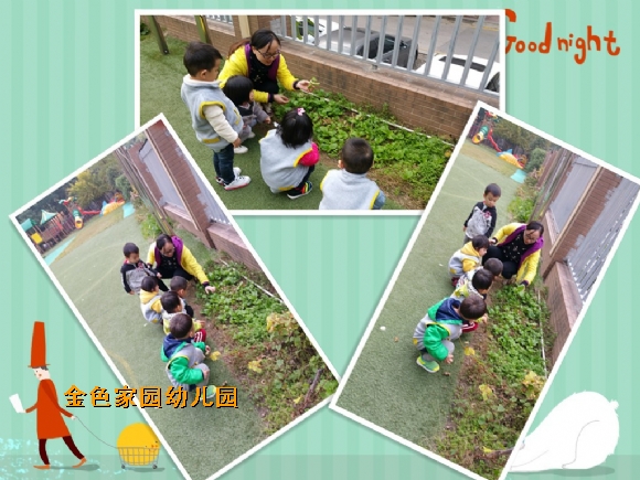 附件：initpintu_副本1.jpg
