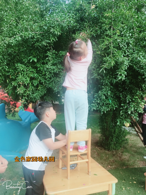附件：IMG_2147.jpg