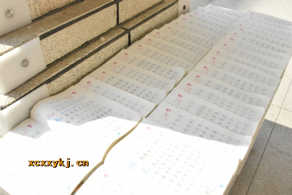 附件：DSC_6385.jpg