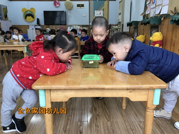 附件：IMG_7625.JPG