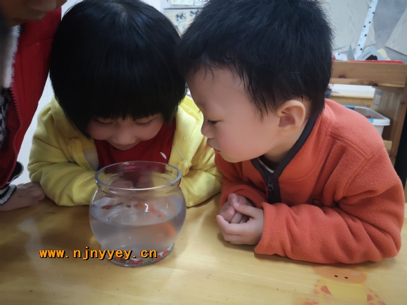 附件：IMG_20210326_101843.jpg