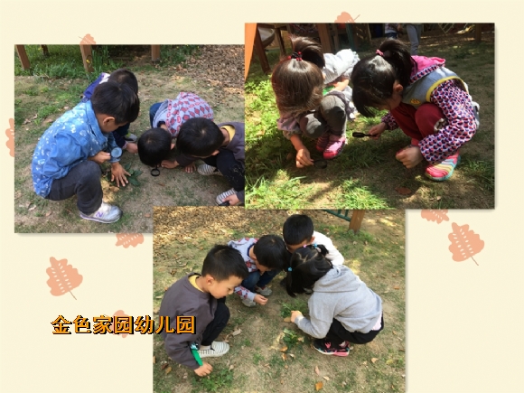 附件：IMG_2865_鍓湰.jpg