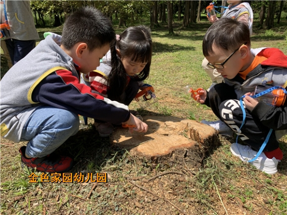 附件：中二.jpg