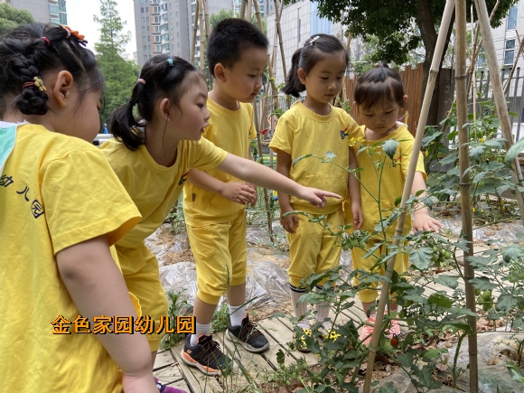 附件：34ae981cc1d21a3143c6780521c05120.jpg