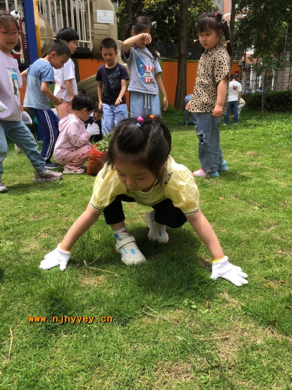附件：QQ图片20220607092746.jpg