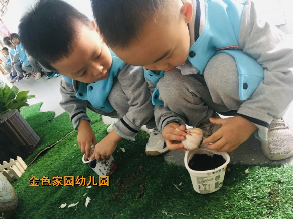 附件：IMG_E2470.JPG