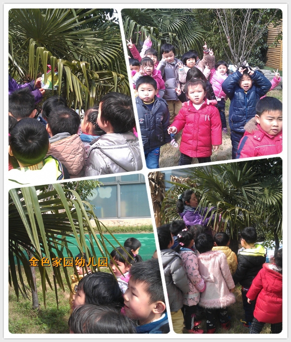 initpintu_副本_副本.jpg